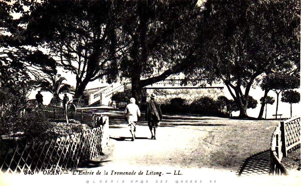 PL c- 061- Promenade de Letang C.jpg